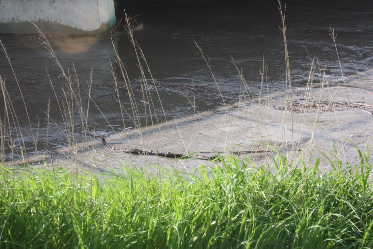 Flooding